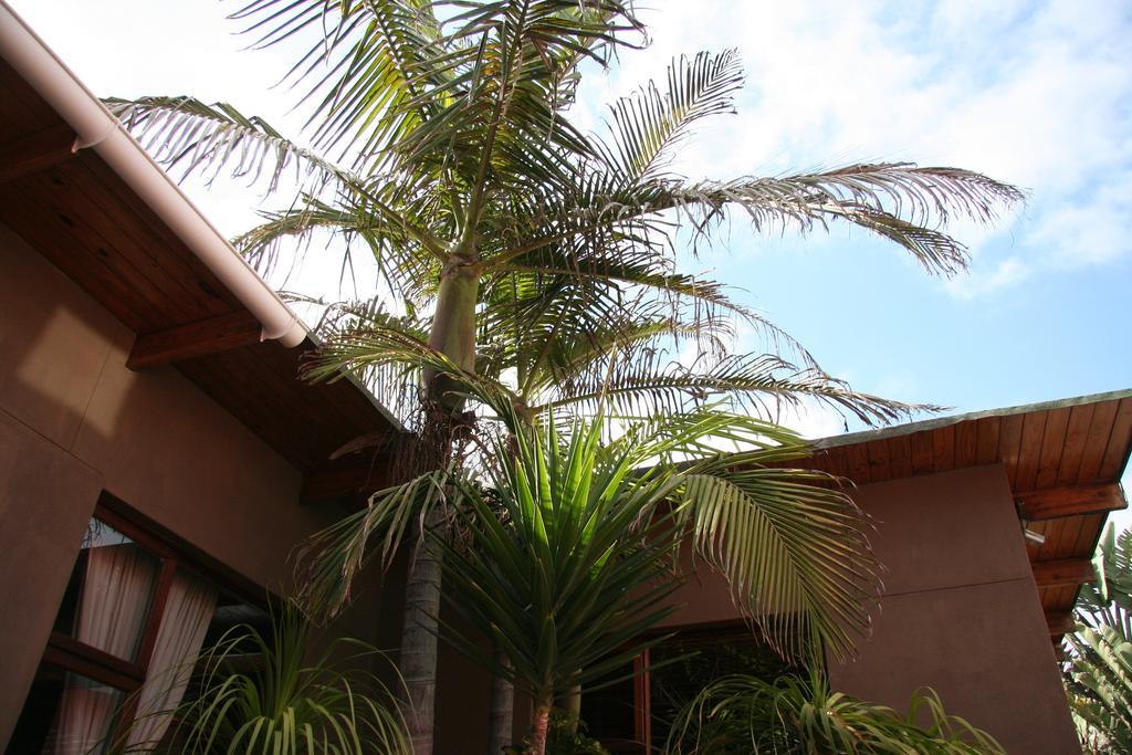Dunedin Star Guesthouse Swakopmund Kültér fotó