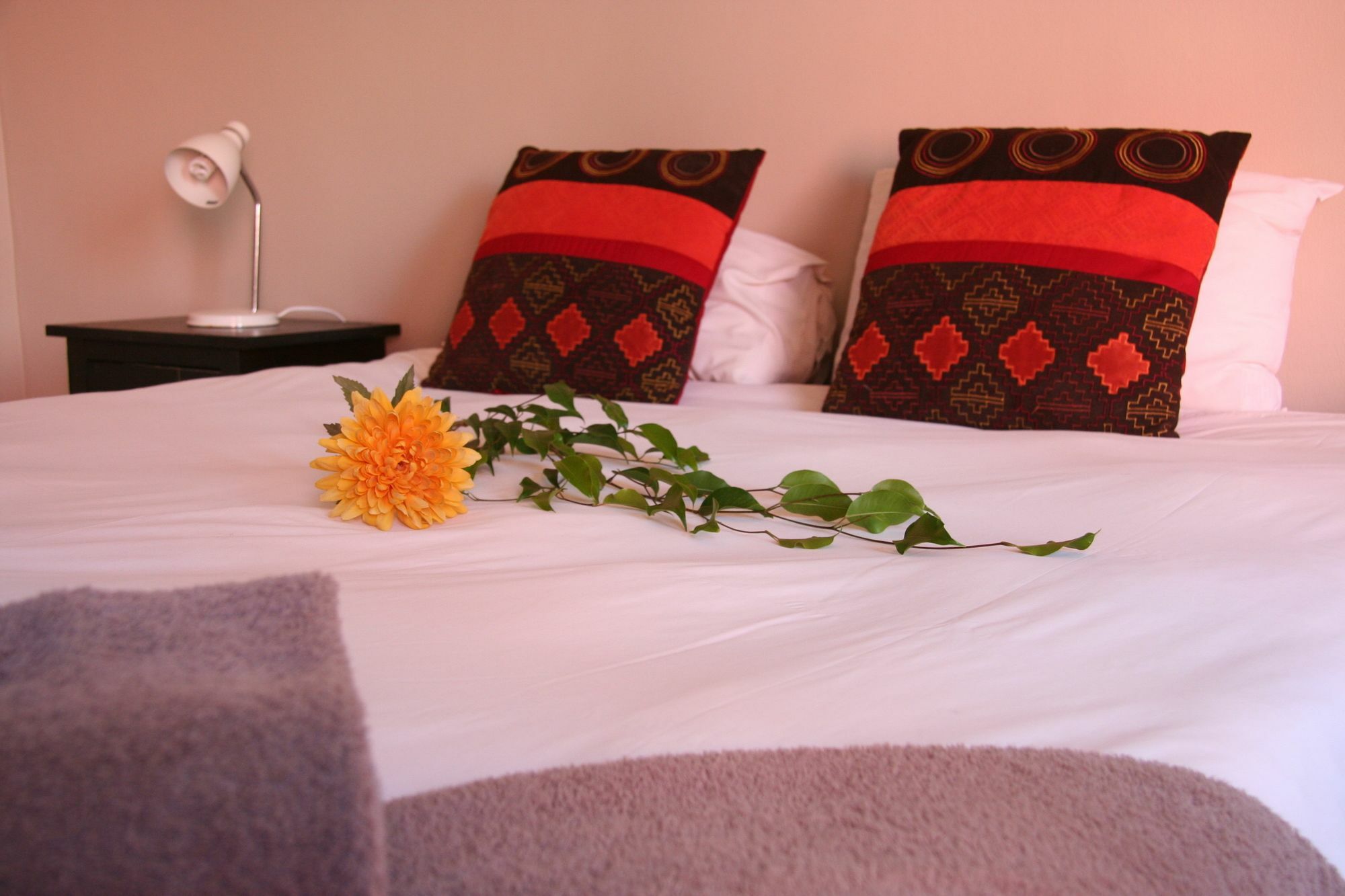 Dunedin Star Guesthouse Swakopmund Kültér fotó